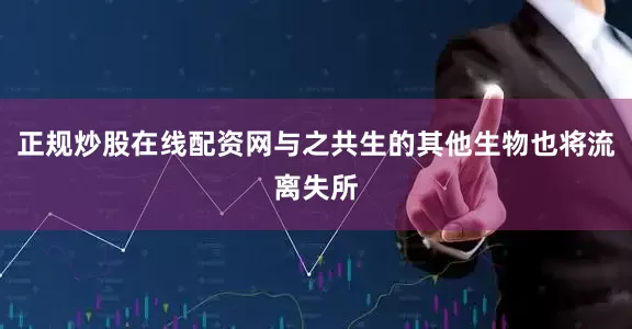 正规炒股在线配资网与之共生的其他生物也将流离失所