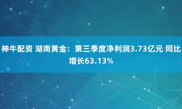 神牛配资 湖南黄金:第三季度净利润3.73亿元 同比增长63.13%