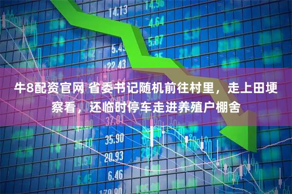 牛8配资官网 省委书记随机前往村里,走上田埂察看,还临时停车走进养殖户棚舍