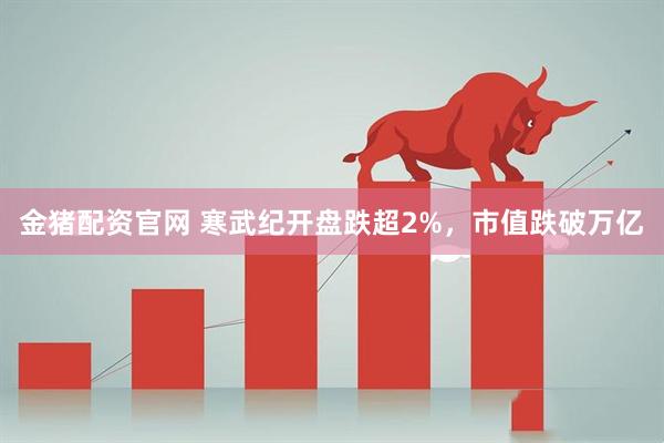 金猪配资官网 寒武纪开盘跌超2%，市值跌破万亿